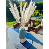 Pampasgras Weiß Getrocknet - Boho Trockenblumen Deko Naturdeko Für Vase, Hochzeit & Diy 50cm von Pamplex