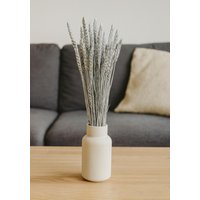 Trockenblumen Weizen Silber - Getrocknetes Getreide Für Natürliche Dekoration Trockengräser Deko Boho Blumenstrauß 50cm Trockenblumen Weizen Silber - Getrocknetes Getreide Für Natürliche Dekoration Trockengräser Deko Boho Blumenstrauß 50cm von Pamplex