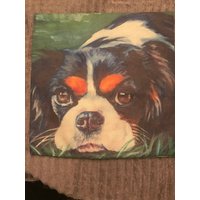 Guter Hund King Charles Spaniel Innen Und Außen Mit Reißverschluss Kissenbezug Guter Hund King Charles Spaniel Innen Und Außen Mit Reißverschluss Kissenbezug von PamsCreations4U