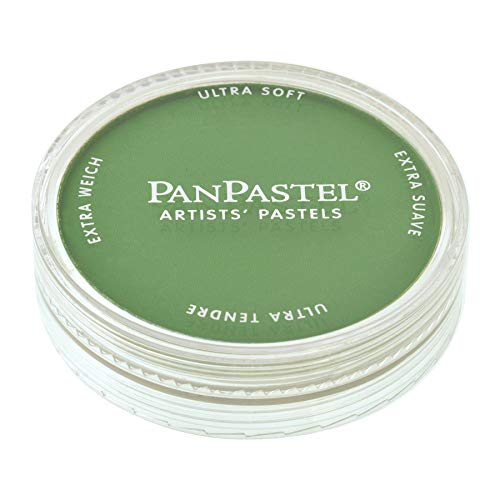 Chromium Oxide Green PanPastel Ultra Soft Artist Pastels 9ml PPSTL-26605 von PanPastel
