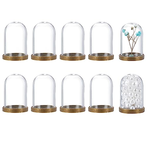 PandaHall 10 Sets Glas-Display-Cloche-Kuppel Dekorative Vitrine Glockenglas Mit Metallsockel Für Sammlerstücke Blumen Büro Zuhause Tischdekoration 25x38.5 mm von PH PandaHall