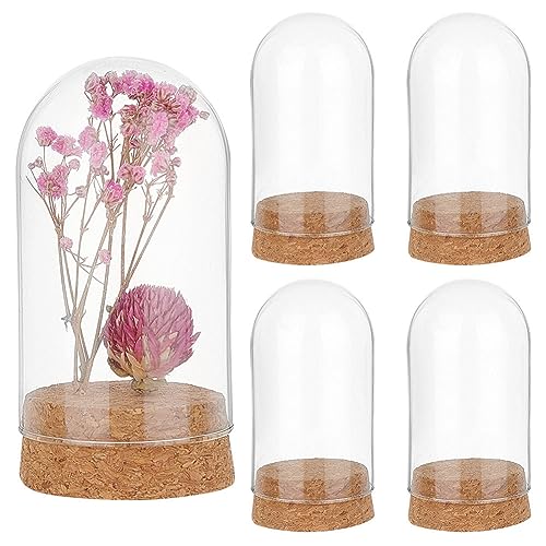 PandaHall 4 Stück Glas Display Kuppel Cloche, Glasglockenkrug mit Korkboden Kleine Glasflaschen Kuppel Dekorative Gläser Vitrine für Blumenaufbewahrung Zuhause Weihnachts Dekoration, 4.7x9.2cm von PH PandaHall