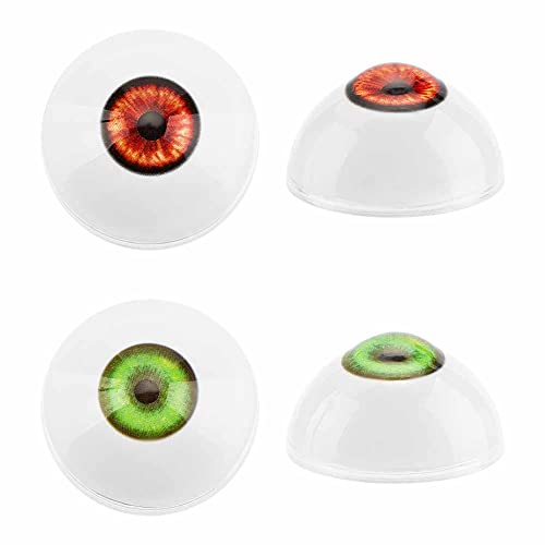 PH PandaHall 528 natürliche Spiralmuschelperlen Kleine Muscheln Kleine Ozean-Spiralen Miniatur-Muscheln Für Heimwerker Schmuck Handwerk Zuhause Party Hochzeit Dekoration Aquarium Vasenfüller PH PandaHall 528 natürliche Spiralmuschelperlen Kleine Muscheln Kleine Ozean-Spiralen Miniatur-Muscheln Für Heimwerker Schmuck Handwerk Zuhause Party Hochzeit Dekoration Aquarium Vasenfüller von PH PandaHall