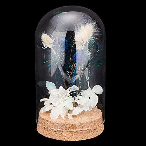 PandaHall Cloche Glaskuppel Glaskuppel Mit Korkboden Dekorationsflaschen Glocke Glasglocke Für Sammlerstücke Blumen Büro Zuhause Tischdekoration 8x14.3 cm von PH PandaHall