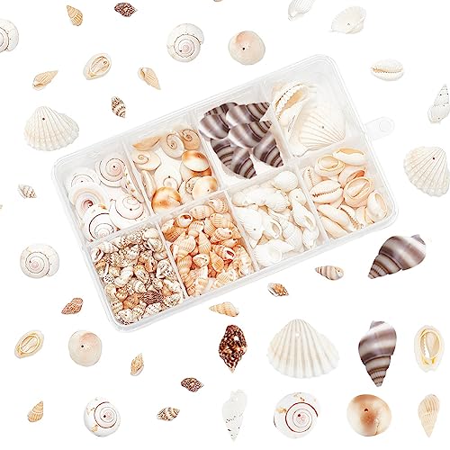 PandaHall Natürliche Muscheln, 270 Stücke 8 Stile Ocean Beach Muscheln Ungefärbte Spirale Muscheln Spirale Muscheln Handwerk Charms für Schmuck Heimtextilien Vase Filler Aquarium Partei von PH PandaHall