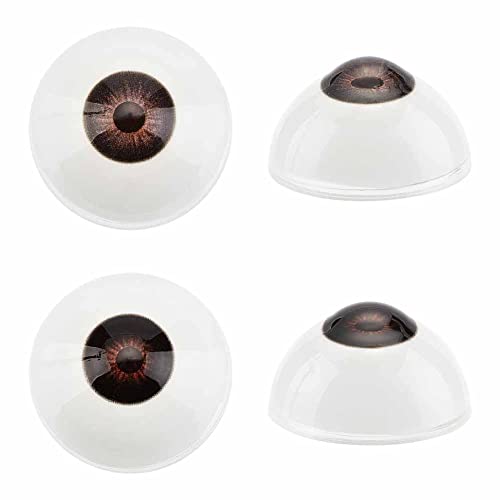 PH PandaHall Realistische Augäpfel Menschliche Augen Große Acryl-Augäpfel Schwarze Augen Horror-Requisiten Kostüm Für Halloween Party Dekoration Kunstskulpturen Requisiten Puppen Schmuckherstellung PH PandaHall Realistische Augäpfel Menschliche Augen Große Acryl-Augäpfel Schwarze Augen Horror-Requisiten Kostüm Für Halloween Party Dekoration Kunstskulpturen Requisiten Puppen Schmuckherstellung von PH PandaHall