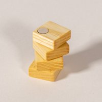 4 Kühlschrankmagnete Aus Esche | Handgemacht Hochwertigem Echtholz Starke Neodym Magnete Als Ideales Geschenk von PandaHolzmanufaktur