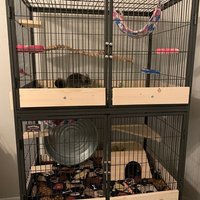 Außen/Innen Vollständige Sets Von Käfigwächter Käfig-Poop-Schutz - Die Option Critter Und Frettchen Nation Feisty von PandamoniumPets