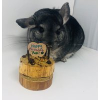 Critter Birthday Oder Gotcha Day Kuchen - Auch Anpassbar Für Jede Gelegenheit Chinchillas, Degus, Ratten, Kaninchen Und Meerschweinchen von PandamoniumPets