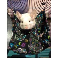 Doppelhängematte - Neue Designs von PandamoniumPets