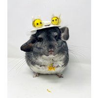 Kleine Tier-Bienen-Hüte-Foto-Requisiten von PandamoniumPets