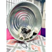 Pandamonium Pets Xtra Soundless Spinner ™ -X-Förmige Halterung - 100% Metall Das Leichteste Rad Aller Zeiten von PandamoniumPets