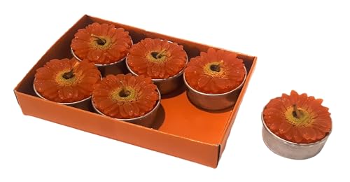 6 Kerzen t-light Gerbera d 4 cm von Pandecor