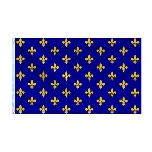 Flagge Blume de Lis Blau und Gold 150 x 90 cm - Französische Königliche Flagge 90 x 150 cm, Flagge des Königreichs Frankreich von Pandiui23