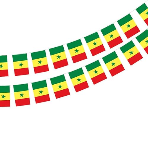 Mali Flagge 40 Stück Mali Flagge Mali Girlande 11,4M Mali Flaggen Nationalflagge 14 x 21 cm für Bardekoration von Pandiui23