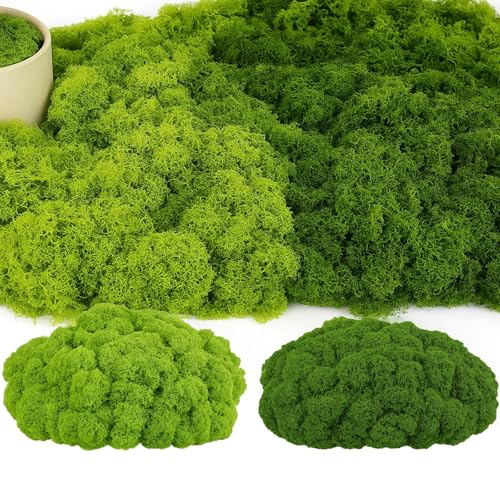PangWuu 100G Künstliches Moos, Kunstmoos Zum Basteln Und Dekorieren, Fake Moos Für Modelbau Und Deko, 50G Dunkelgrün + 50G Hellgrün, Aus Hochwertigem Polyester PangWuu 100G Künstliches Moos, Kunstmoos Zum Basteln Und Dekorieren, Fake Moos Für Modelbau Und Deko, 50G Dunkelgrün + 50G Hellgrün, Aus Hochwertigem Polyester von PangWuu