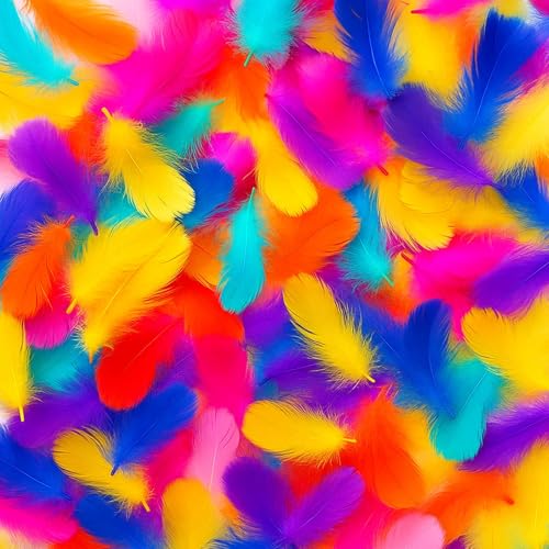 700 Federn Zum Basteln, Bunte Federn Zum Basteln Für DIY-Projekte, Handwerk Und Dekoration, 5-12cm Lange Bastelfedern Für Traumfänger, Schmuck Und Partydekoration 700 Federn Zum Basteln, Bunte Federn Zum Basteln Für DIY-Projekte, Handwerk Und Dekoration, 5-12cm Lange Bastelfedern Für Traumfänger, Schmuck Und Partydekoration von PangWuu