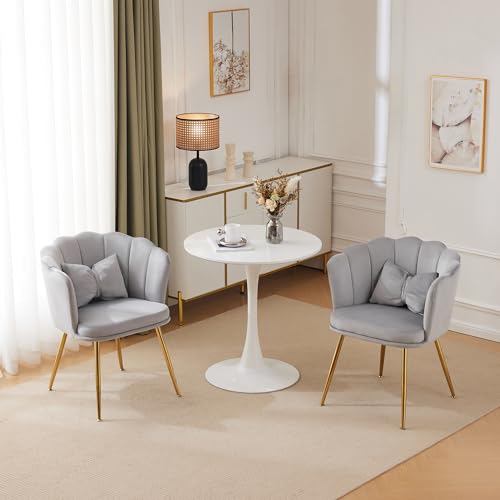 Pangshiyuan 2er-Set gepolsterte Samtstühle mit Blütenblatt-Rückenlehne, goldenen Metallbeinen und Kissen, Moderne Esszimmerstühle, Wohnzimmer-Sessel, Akzentstühle, Lounge-Stühle in Rosa Pangshiyuan 2er-Set gepolsterte Samtstühle mit Blütenblatt-Rückenlehne, goldenen Metallbeinen und Kissen, Moderne Esszimmerstühle, Wohnzimmer-Sessel, Akzentstühle, Lounge-Stühle in Rosa von Pangshiyuan