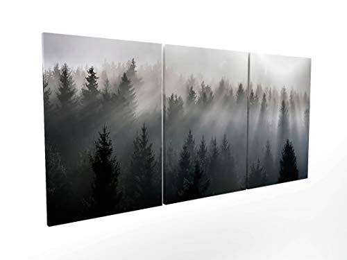 Panorama Leinwand Bilder Wald mit Nebel 210 x 100 cm in 3 Stück - Gedruckt auf hochwertiger Leinwand mit Rahmen - Leinwandbilder XXL Wohnzimmer - 3 teilige Bilder - Dekorative Leinwandbilder von Panorama