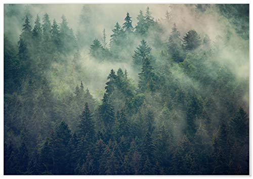 Panorama Poster Misty Forest Poster 100 x 70 cm - Gedruckt auf qualitativ hochwertigem Poster - Nature Wanbilder - Poster Wohnzimmer - Poster Zen - Bilder Schlafzimmer - Dekoration Zuhause von Panorama