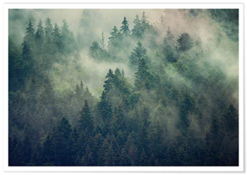 Panorama Poster Misty Forest Poster 70 x 50 cm - Gedruckt auf qualitativ hochwertigem Poster mit Passepartout - Nature Wanbilder - Poster Zen Wohnzimmer - Bilder Schlafzimmer - Dekoration von Panorama