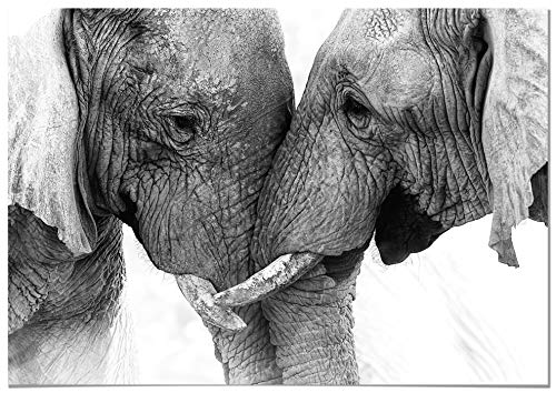 Panorama Poster Paar Elefants 50x35 cm - Gedruckt auf 250g-Papier - Tiere Wanbilder - Papierplakat Wohnzimmer Panorama Poster Paar Elefants 50x35 cm - Gedruckt auf 250g-Papier - Tiere Wanbilder - Papierplakat Wohnzimmer von Panorama