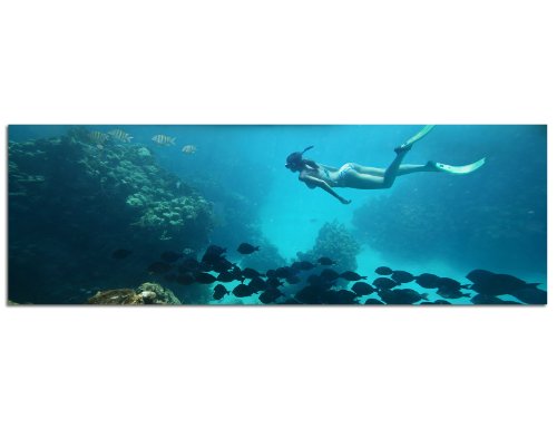 PANORAMA BILD XXL 150x50cm TOP Bilder! (Unterwasser deep blue tauchen Tauchsport) Wandbild xxl günstig & modern ART PRINT Wandbilder Bilder EXKLUSIVES Fotowandbild auf Leinwand und Keilrahmen Bild Leinwandbild Fotodruck modern Zeitlos Stilvoll wie ein Gemälde Ausführung schöner Kunstdruck auf echter Leinwand als Wandbild mit Rahmen. Preiswerter als Ölbild Gemälde Foto Poster Plakat mit Bilderrahmen. von Panoramabilder auf Leinwand und Keilrahmen