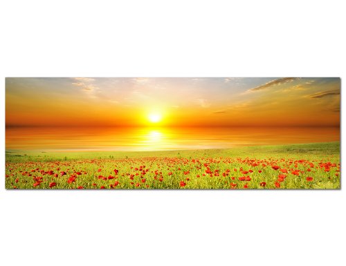 Panoramabilder auf Leinwand und Keilrahmen - Modernes Wandbild 'Mohnblumen Feld' (150x50cm) - Giclée Kunstdruck auf Leinwand mit Holzrahmen - Für Wohnzimmer und Schlafzimmer von Panoramabilder auf Leinwand und Keilrahmen