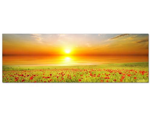 PANORAMA BILD in 150x50cm TOP Bilder! (Mohnblumen Feld) Wandbild xxl günstig & modern ART PRINT Wandbilder Bilder EXKLUSIVES Fotowandbild auf Leinwand und Keilrahmen Bild Leinwandbild Fotodruck modern Zeitlos Stilvoll wie ein Gemälde Ausführung schöner Kunstdruck auf echter Leinwand als Wandbild mit Rahmen. Preiswerter als Ölbild Gemälde Foto Poster Plakat mit Bilderrahmen. von Panoramabilder auf Leinwand und Keilrahmen