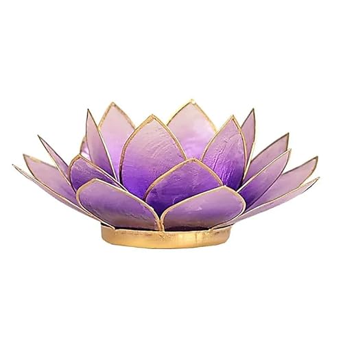 Capiz Lotus Atmospherisch Licht Goldrand violett - 13.5 cm von Panotophia