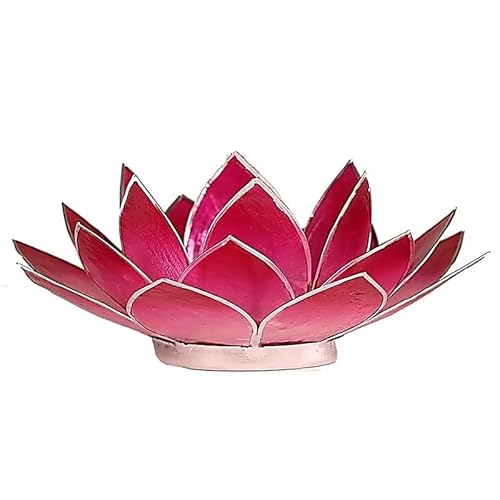 Capiz Lotus Atmospherisch Licht silberf.Ränder rosa - 13.5 cm von Panotophia