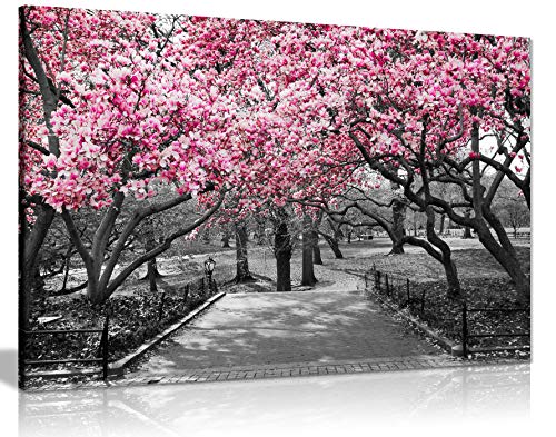 Panther Print Schwarz-Weiß-Kunstdruck auf Leinwand, Motiv: Rosa Blüten, Black/Pink/White, A1 76x51 cm (30x20in) von Panther Print