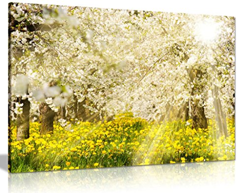 Sonne Strahlen an Blooming Apple Tree Leinwand Kunstdruck Bild, A0 91x61cm (36x24in) von Panther Print