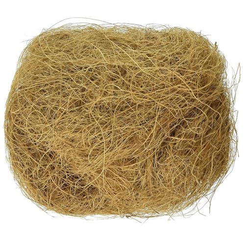 100g Kokosnussfaser Vogelnest Kokosnussfaser für Pflanzen Kokosnussfaser-Nest Vogelnest-Materialien Natürliche Kokosnussfaser für Kleintier-Einstreu Bau und Verstecke 100g Kokosnussfaser Vogelnest Kokosnussfaser für Pflanzen Kokosnussfaser-Nest Vogelnest-Materialien Natürliche Kokosnussfaser für Kleintier-Einstreu Bau und Verstecke von Paodduk