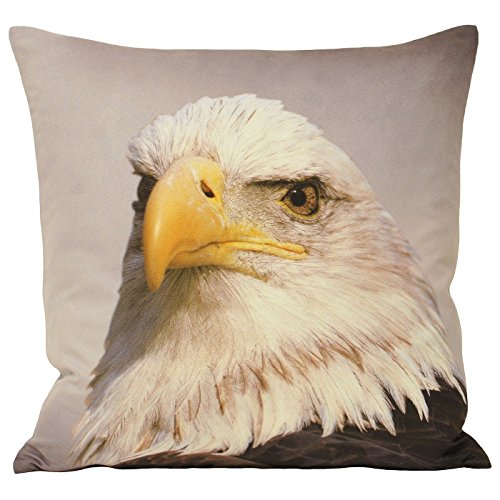 Paoletti Animal Eagle 45X45 C/CASE, Polyester, Grau, 45x45cm von Paoletti