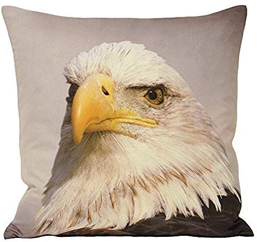 Paoletti Animal Eagle 45X45 Poly CUSH, Grau, 45x45cm von Paoletti