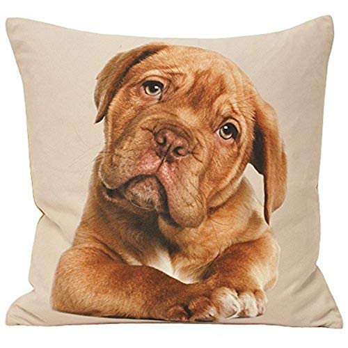 Paoletti Animal Labrador 45X45 FEATH CUSH, Braun, 45x45cm von Paoletti