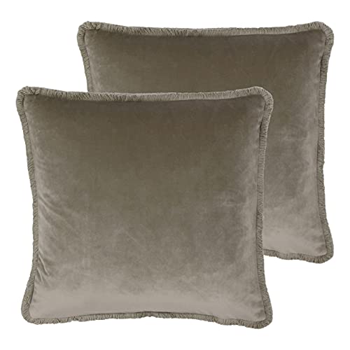 Paoletti Freya Twin Pack-Feder gefüllte Kissen, Polyester, Taupe, 45 x 45cm, 2 von Paoletti