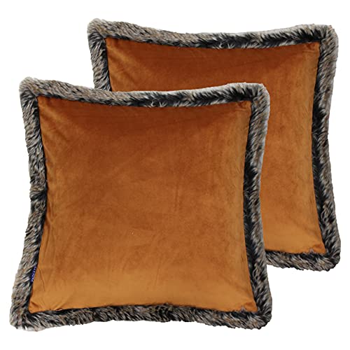 Paoletti Kiruna Twin Pack-Feder gefüllte Kissen, Samt, Rost, 45 x 45cm, 2 von Paoletti