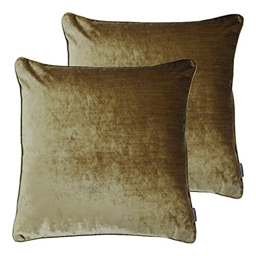 Paoletti Luxe Velvet Twin Pack Feather Gefüllte Kissen, Samt, Gold, 55 x 55cm, 2 Paoletti Luxe Velvet Twin Pack Feather Gefüllte Kissen, Samt, Gold, 55 x 55cm, 2 von Paoletti