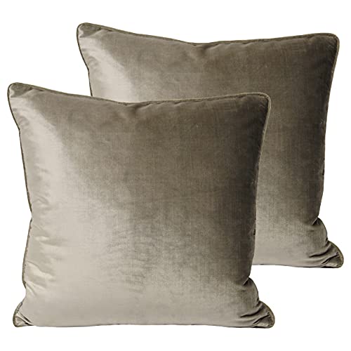 Paoletti Luxe Velvet Twin Pack Feather Gefüllte Kissen, Samt, Nerz, 55 x 55cm, 2 von Paoletti