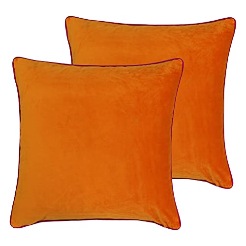 Paoletti Meridian Twin Pack-Feder gefüllte Kissen, Polyester, Clementine/Hot Pink, 55 x 55cm, 2 von Paoletti