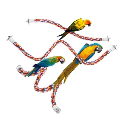 Papageienspielzeug Seil Hängende Nymphensittiche Spielzeug Trainingszubehör Schnur Beißschaukel Leiter für kleine und mittelgroße Vögel 40cm von Paowsietiviity
