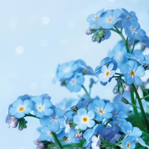 20 Servietten Blumen auf hellblau als Tischdeko. Papierservietten mit Motiv. Auch für Decoupage und Serviettentechnik 33x33cm von Paper+Design