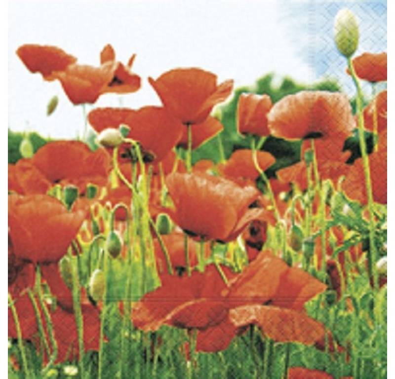 Paper+Design Papierserviette 20 COCKTAIL SERVIETTEN 25x25cm. Rote Mohnblumen, FIELD OF POPPIES von Paper+Design