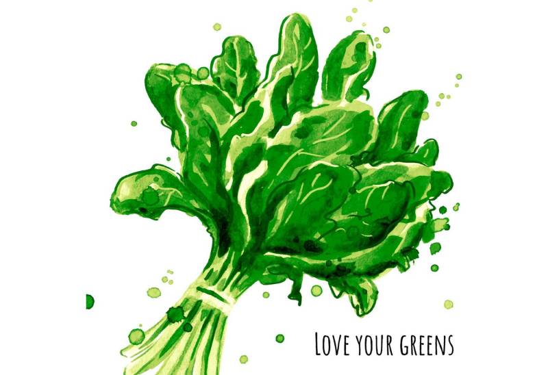 Paper+Design Papierserviette PAPER+DESIGN 206171 Lunchservietten Spinat - 33 x 33 cm, 20 Stück Paper+Design Papierserviette PAPER+DESIGN 206171 Lunchservietten Spinat - 33 x 33 cm, 20 Stück von Paper+Design