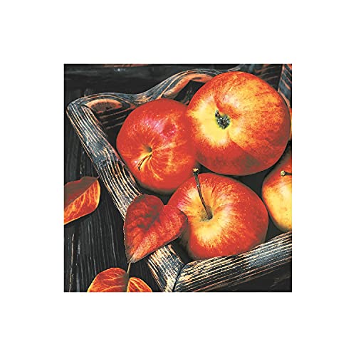 Paper + Design Lunch-Serviette 33x33cm Äpfel, rot/grau (20er Pack) von Paper+Design