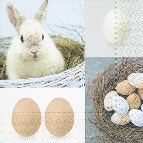 Paper + Design Egg thief Tissue Papierserviette, mehrfarbig, 330 mm x 33 cm, 20 Stück Paper + Design Egg thief Tissue Papierserviette, mehrfarbig, 330 mm x 33 cm, 20 Stück von Paper + Design