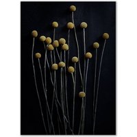 Paper Collective - Stillleben 01 (yellow drumstick), 50 x 70 cm von Paper Collective