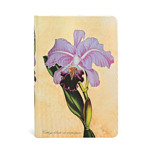 Paperblanks - Botanikmalerei Brasilianische Orchidee - Notizbuch Mini Unliniert (Painted Botanicals), Mini (140 x 95) von Paperblanks